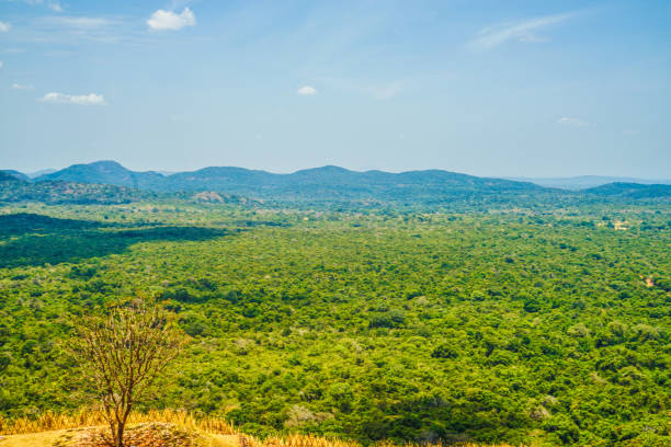 istock Scenery visible from the top of Sigiriya rock 1171436812