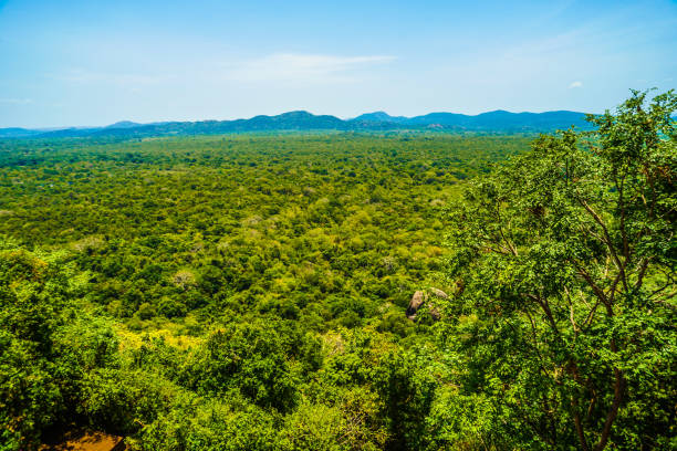 istock Scenery visible from the top of Sigiriya rock 1171436885