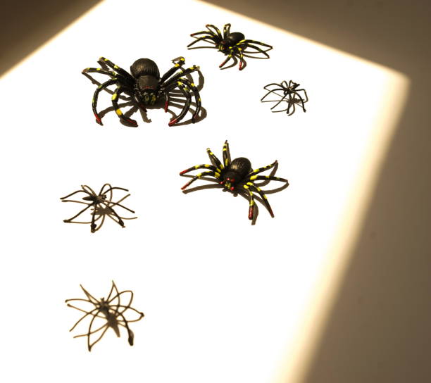 Metal spider isolated on white