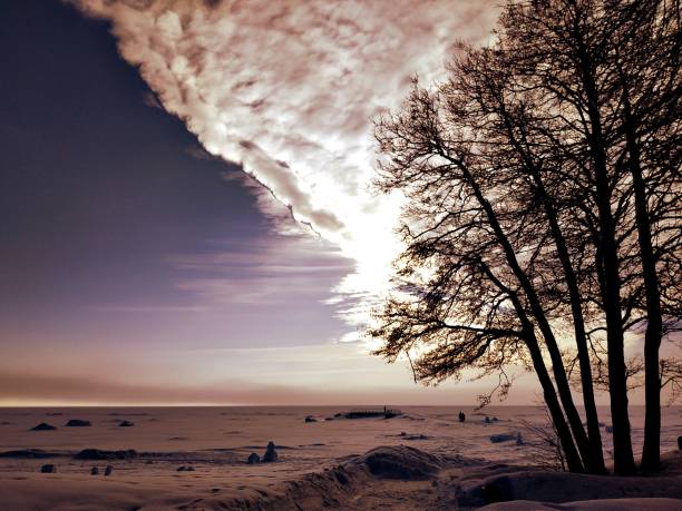 Beautiful winter landscape, tree, cloud, horizon