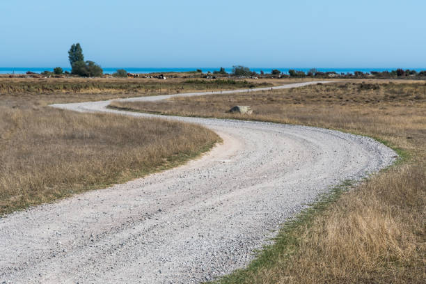 Winding dirt road in a dry grassland at the swedish island Oland stock photo