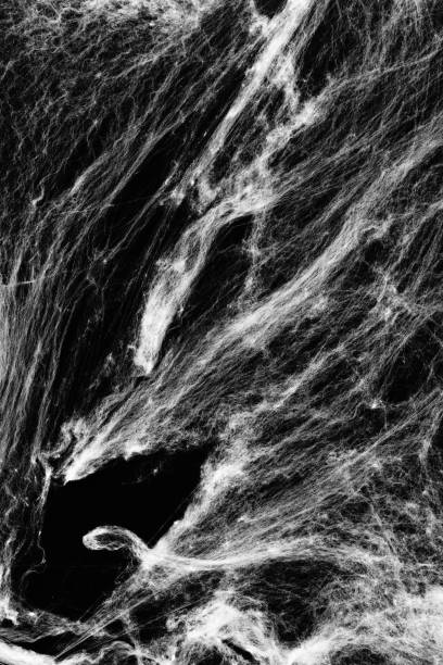 istock Halloween decoration background top view. copy space. Halloween creepy cobweb spiders web with a black background 1171443927