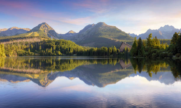 Tatras green forest - Strbske pleso, Slovakia Tatras green forest - Strbske pleso, Slovakia pleso stock pictures, royalty-free photos & images