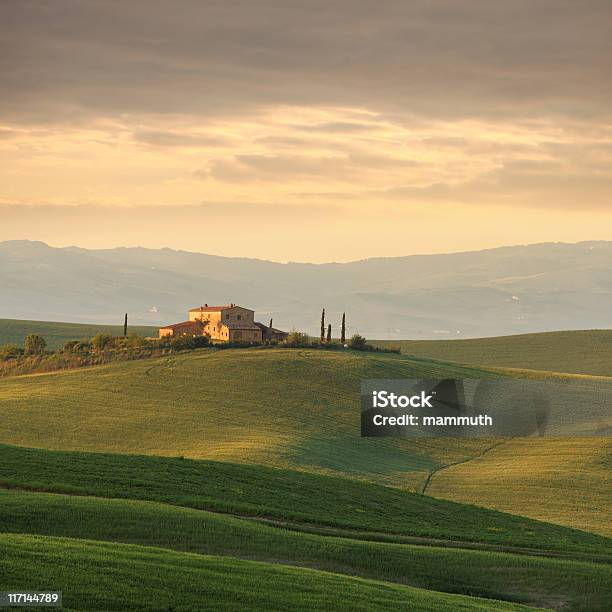Farm In Tuscany Stock Photo - Download Image Now - Agricultural Building, Agricultural Field, Agriculture