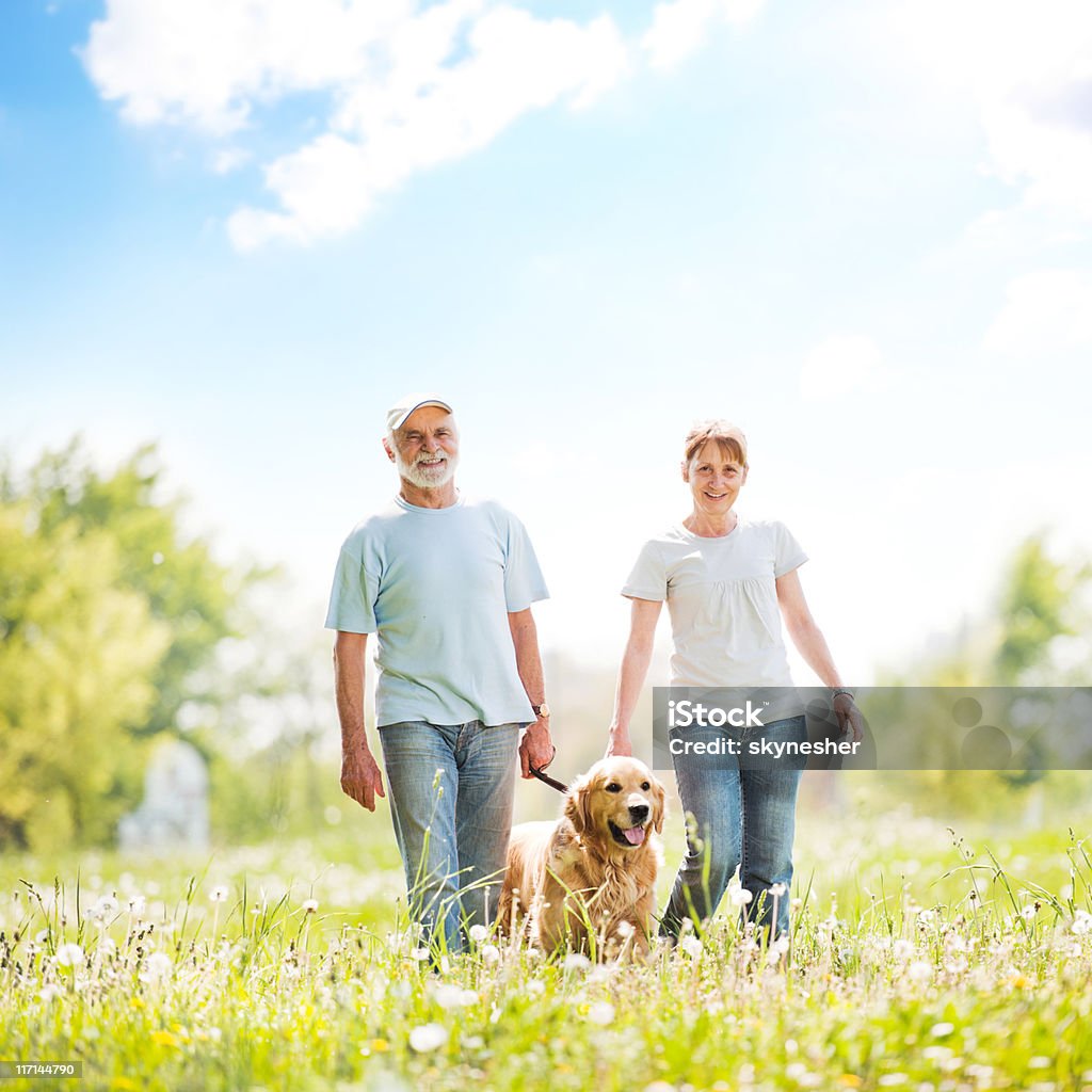 Anziani coppia a piedi un cane nel parco. - Foto stock royalty-free di Coppia anziana