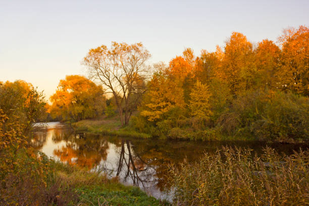 istock Autumn landscape with yellow trees and river 1171448103
