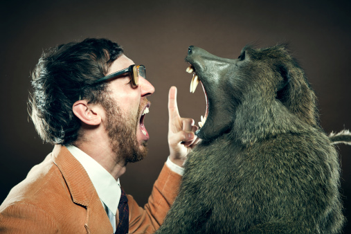 A man and ape scream at each other, face to face, nose to nose.  Vertical with copy space.  Man is wearing a corduroy blazer, tie, and thick glasses.  Horizontal.