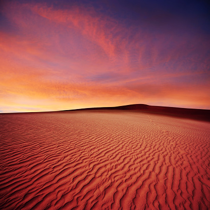 rippled desert sand dunes at sunset, square frame (XL)