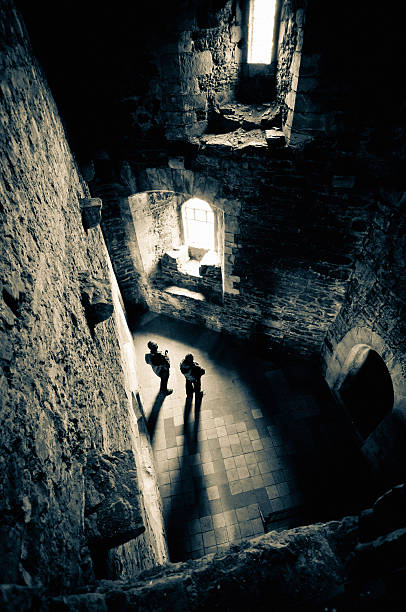 Ballycarbury Castle2