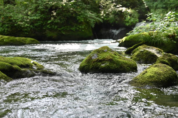 istock stream oirase in mid summer 1171452741