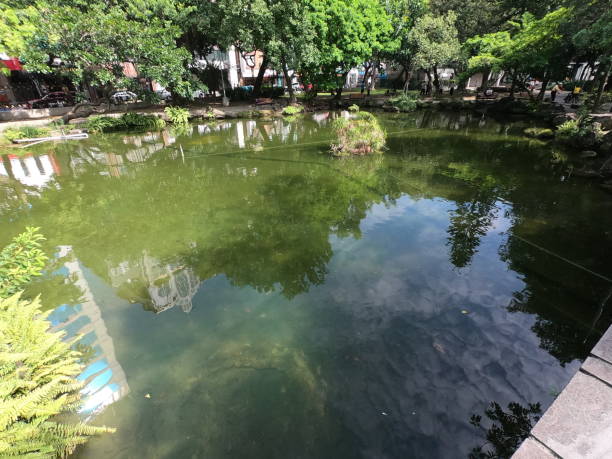 istock 228 Peace Park, Taipei, Taiwan 1171453539