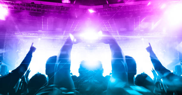 istock Music festival crowd 1171454637