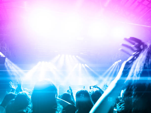 istock Music festival crowd 1171454647