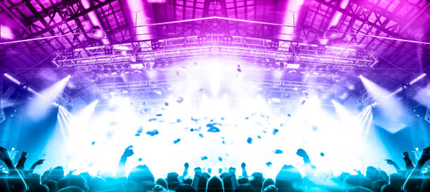 istock Music festival crowd 1171454653