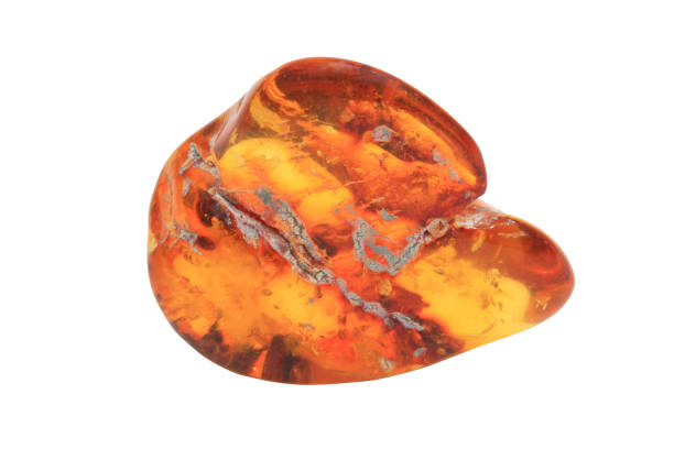 istock piece of amber 1171455615