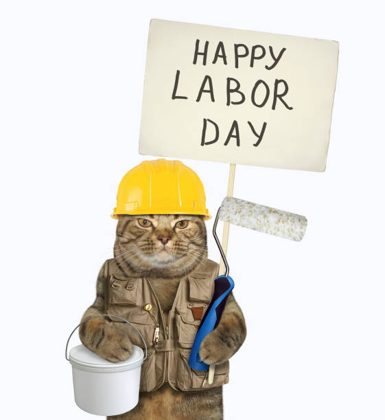 istock Cat with sign and roller brush 1171455803