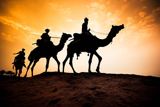 silueta de camello al atardecer en el desierto caravana - camel ride fotografías e imágenes de stock
