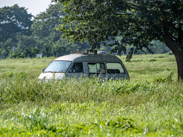 istock An abandoned van in an open field 1 1171457376