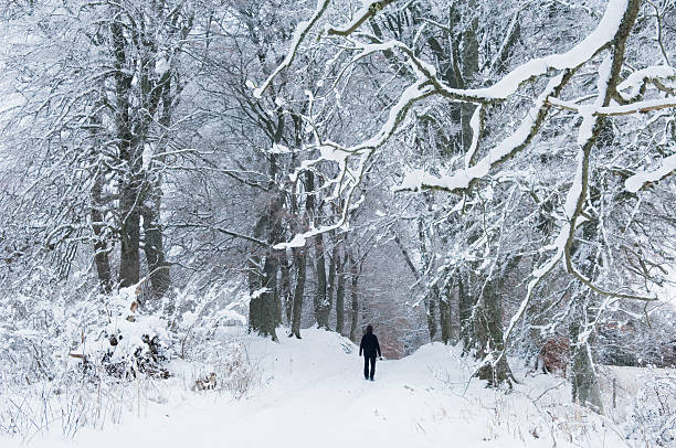istock Man walking in winter woods 117145847