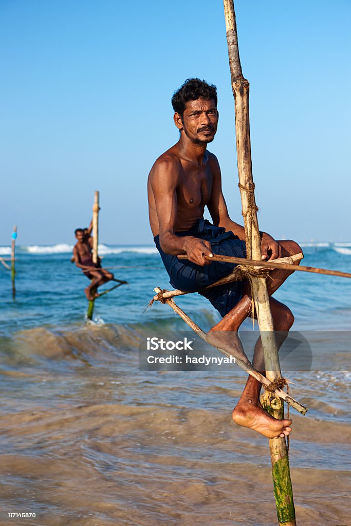 Cigüeñuela en el trabajo de los pescadores, Sri Lanka, Asia - Foto de stock de Adulto libre de derechos