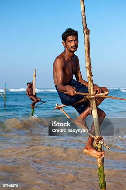 Cigüeñuela En El Trabajo De Los Pescadores Sri Lanka Asia Foto de stock y más banco de imágenes de Adulto