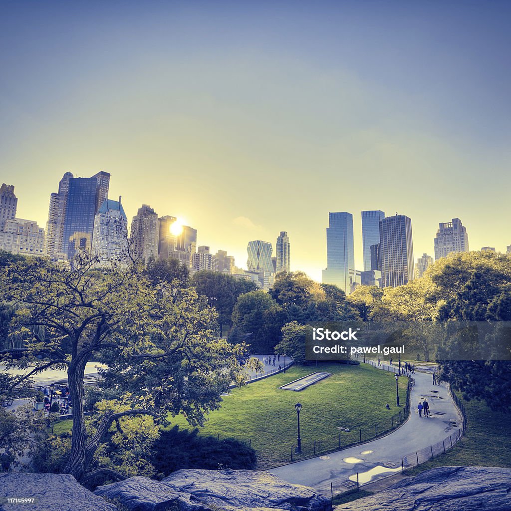 Central Park in New York during sunset Central Park in New York City at dusk. Long exposure, motion blur amidst tree foliage. Central Park - Manhattan Stock Photo