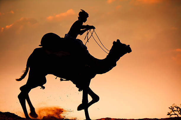 istock Backlit Silhouette Lonely Camel Rider Desert India 117146315