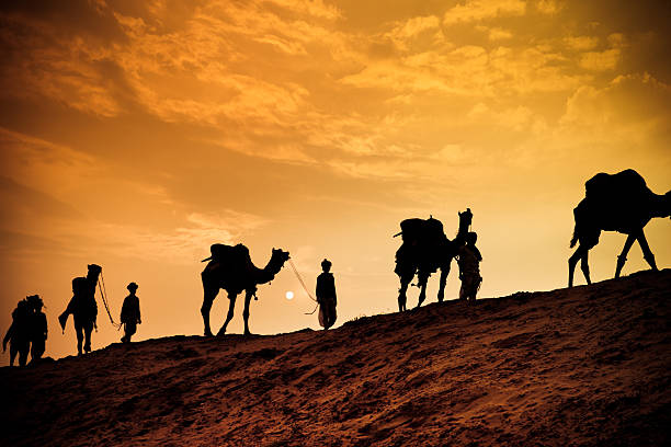 safari in cammello nel deserto - india travel journey camel foto e immagini stock
