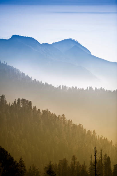 미스트 시에라 네바다 산맥 - stanislaus national forest 뉴스 사진 이미지