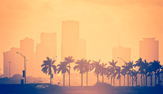 back lit orange toned sunset miami scene - a line of palm trees in the foreground lining beside the highway connecting miami with the beaches and the brickell skyline in the background