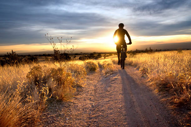 mountain bike sunset  rabbit brush stock pictures, royalty-free photos & images