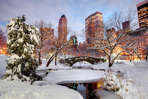 Invierno en Central Park, la ciudad de Nueva York photo