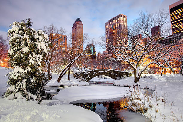 inverno a central park, a new york city - new york city new york state skyline winter foto e immagini stock