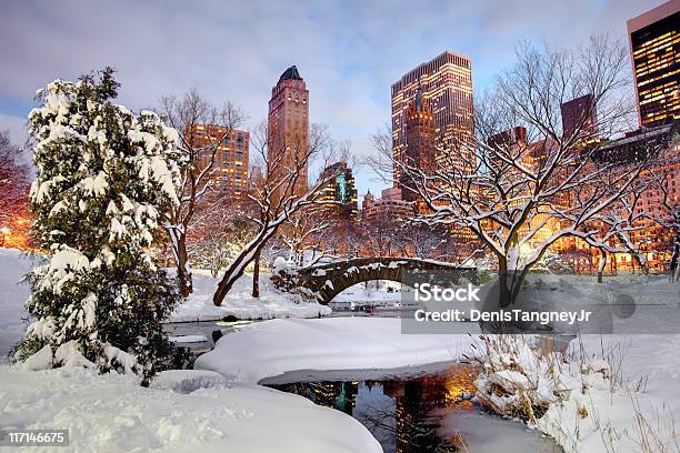 Winter In Central Park New York City Stock Photo - Download Image Now - New York City, Winter, New York State