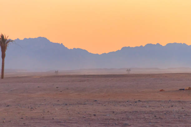 вид на аравийскую пустыню в египте на закате - beautiful horizontal arabia hurghada стоковые фото и изображения