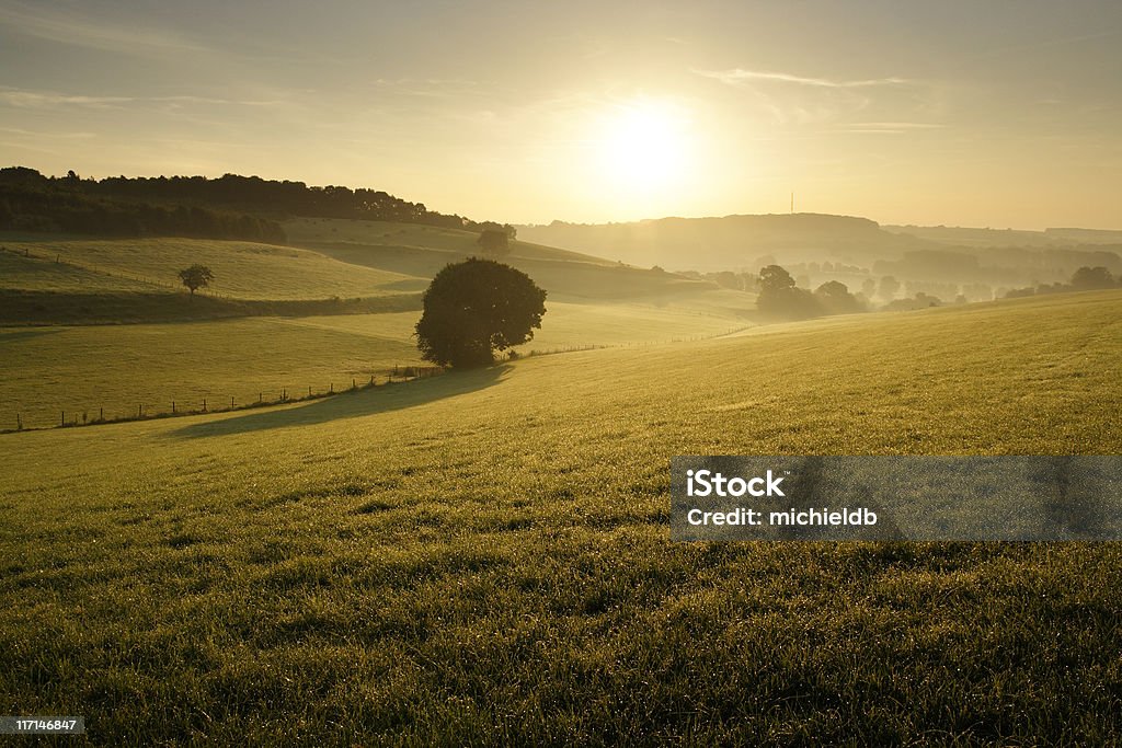 夏の朝の風景 - カラー画像のロイヤリティフリーストックフォト