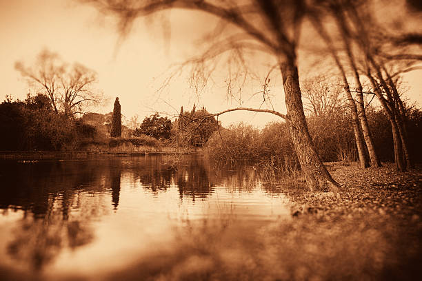 istock Lake of Ninfa 117146951