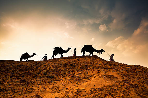 tre uomini con cammelli attraverso il deserto a - camel india animal desert foto e immagini stock