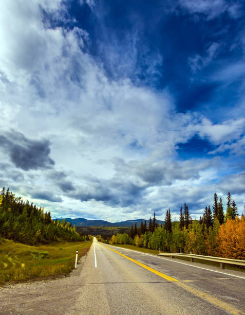 istock Highway 40 Bighorn 1171471125