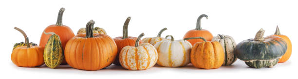istock Assortiment of pumpkins on white 1171471168