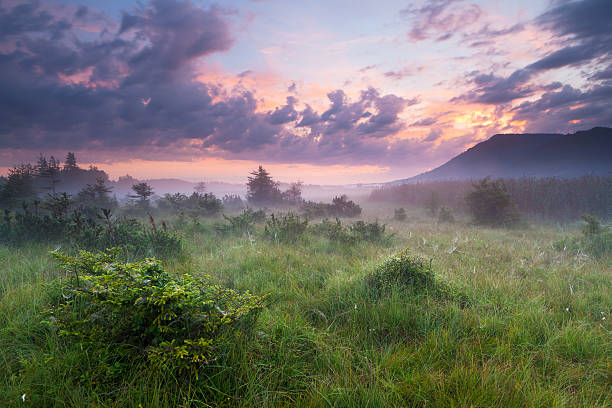 niebla de la mañana en un amarre con cielo dramático, baviera, alemania - bavaria allgau germany landscape fotografías e imágenes de stock