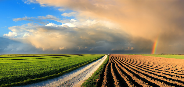 Country Landscape - fields and rainbow in the sunset sky 