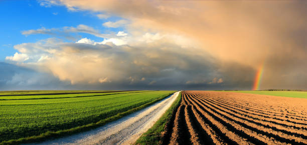 Country Landscape - fields and rainbow in the sunset sky stock photo