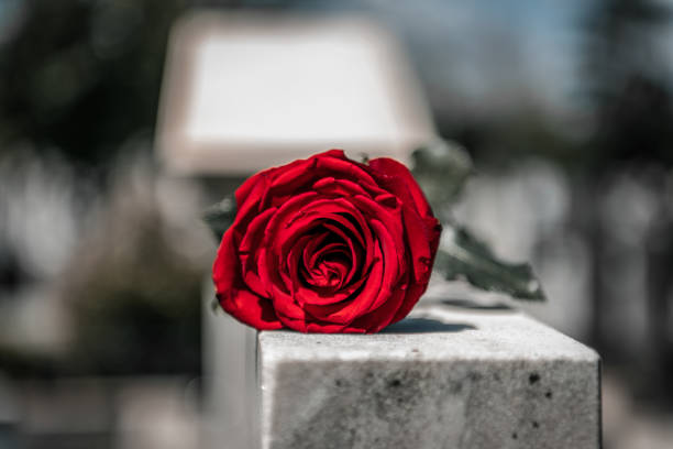 istock Flower on memorial stone close up 1171473261