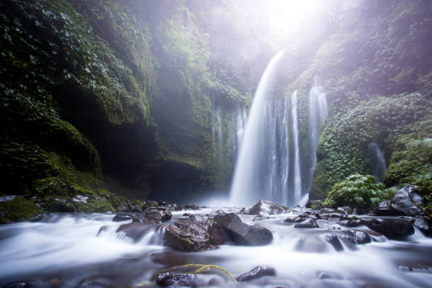 lombok-wasserfall - waterfall rapid landscape woods stock-fotos und bilder