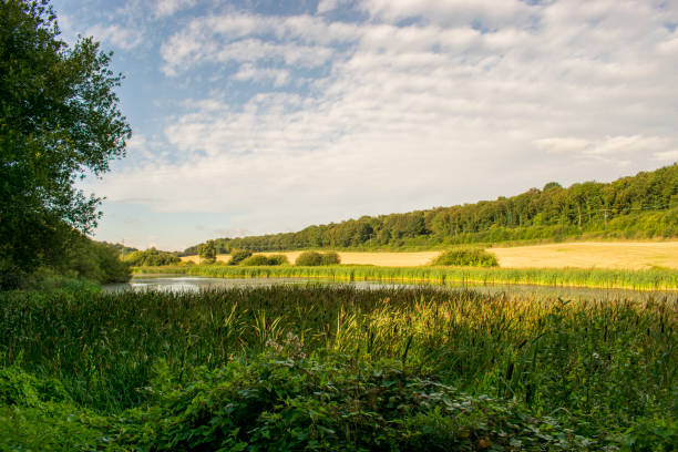 istock Sprotbrough Flash Nature Reserve, Sprotbrough, Doncaster, South Yorkshire, UK 1171473489