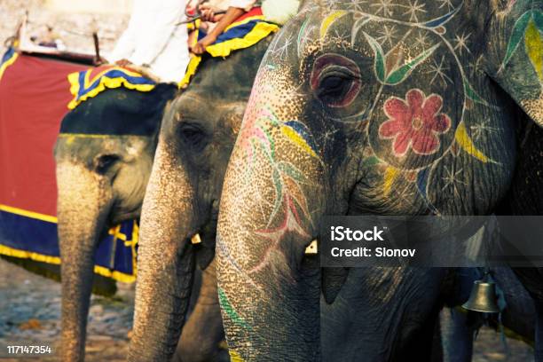 Elefanten Stockfoto und mehr Bilder von Bundesstaat Rajasthan - Bundesstaat Rajasthan, Amber-Festung, Arbeitstier