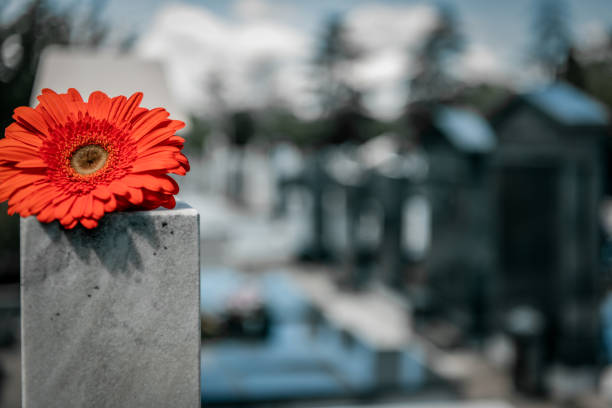 istock Flower on memorial stone close up 1171473559