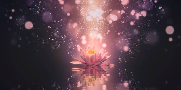 istock Lotus reflection pink lighting purple background 1171473820