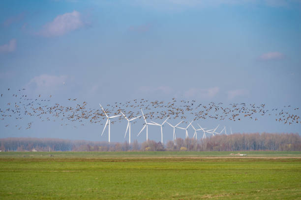 istock row of wind turbines 1171474802